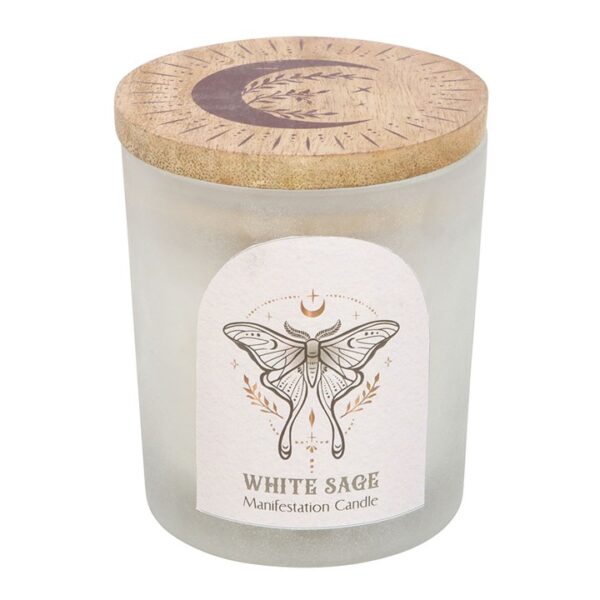Luna Moth Manifestation Candle with Clear Quartz Crystals - Image 4